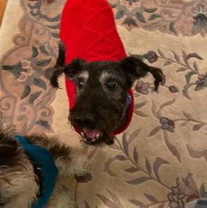 Meet your Posher, Christine